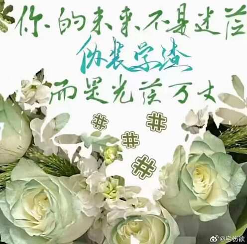 每日一打卡-校园频道