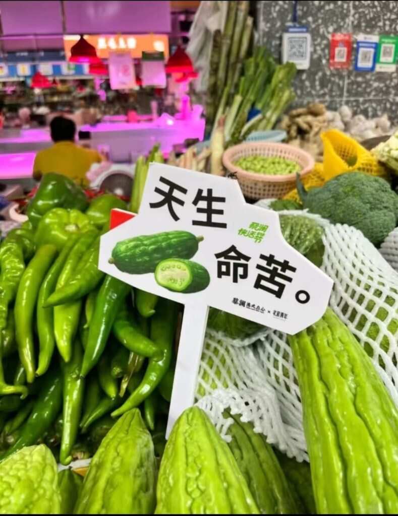挺苦的-暑假时光论坛-校园-校园频道