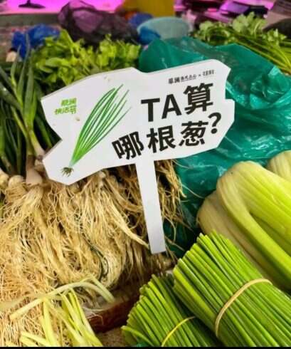 算哪根葱-校园频道