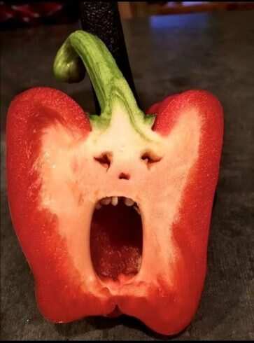 无处不在的“脸”-校园频道