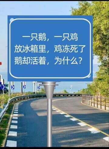 为什么❓-校园频道