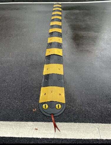 贪吃蛇-校园频道