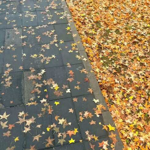 立秋快乐-校园频道