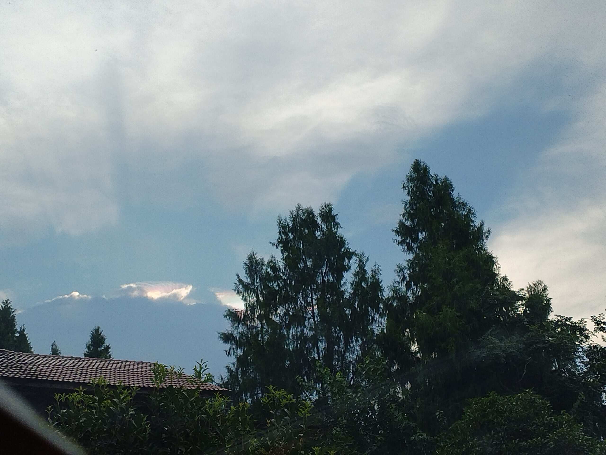 好看🤩-校园频道