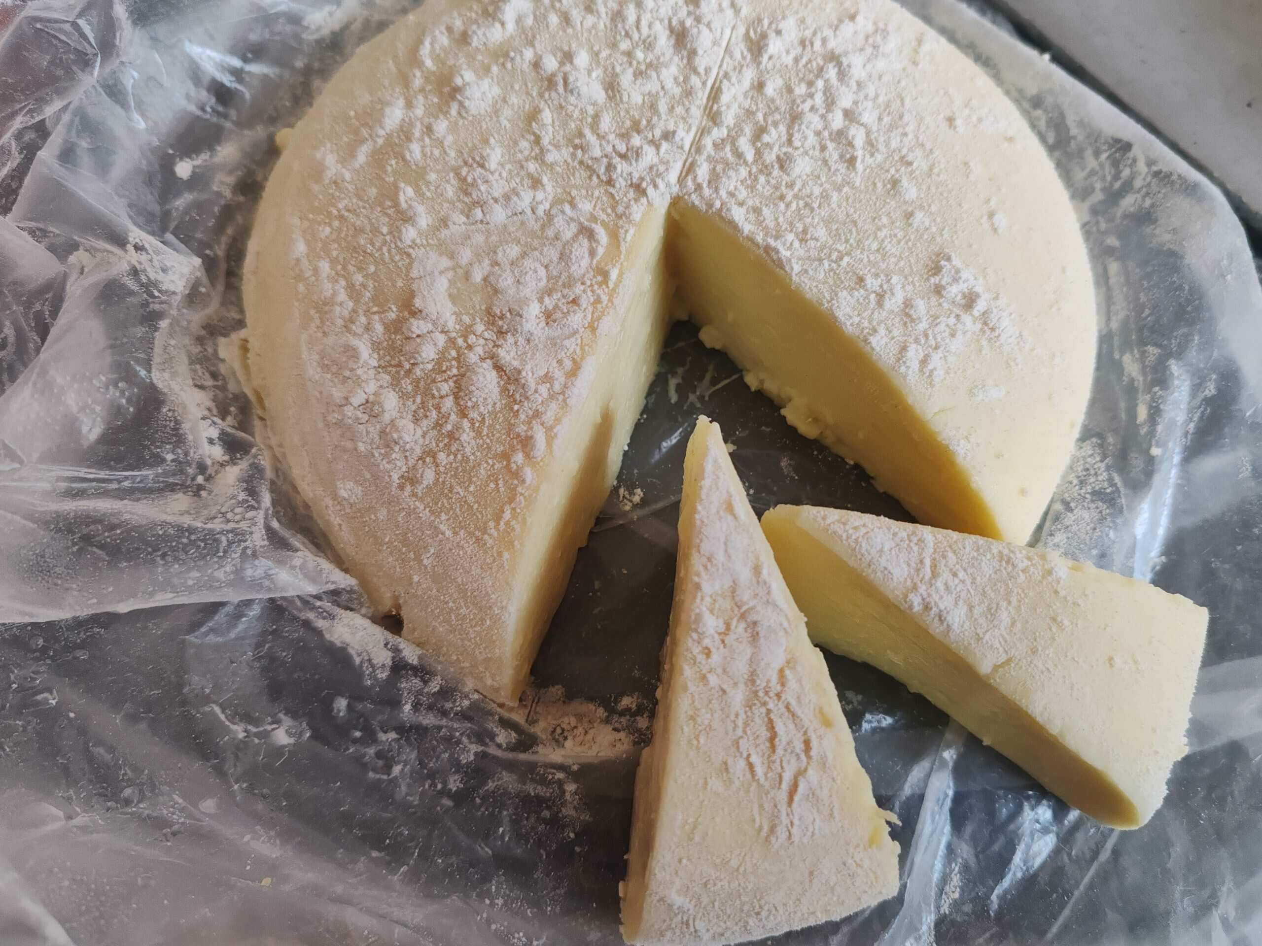 自己做的૮ ・ﻌ・ა-校园频道