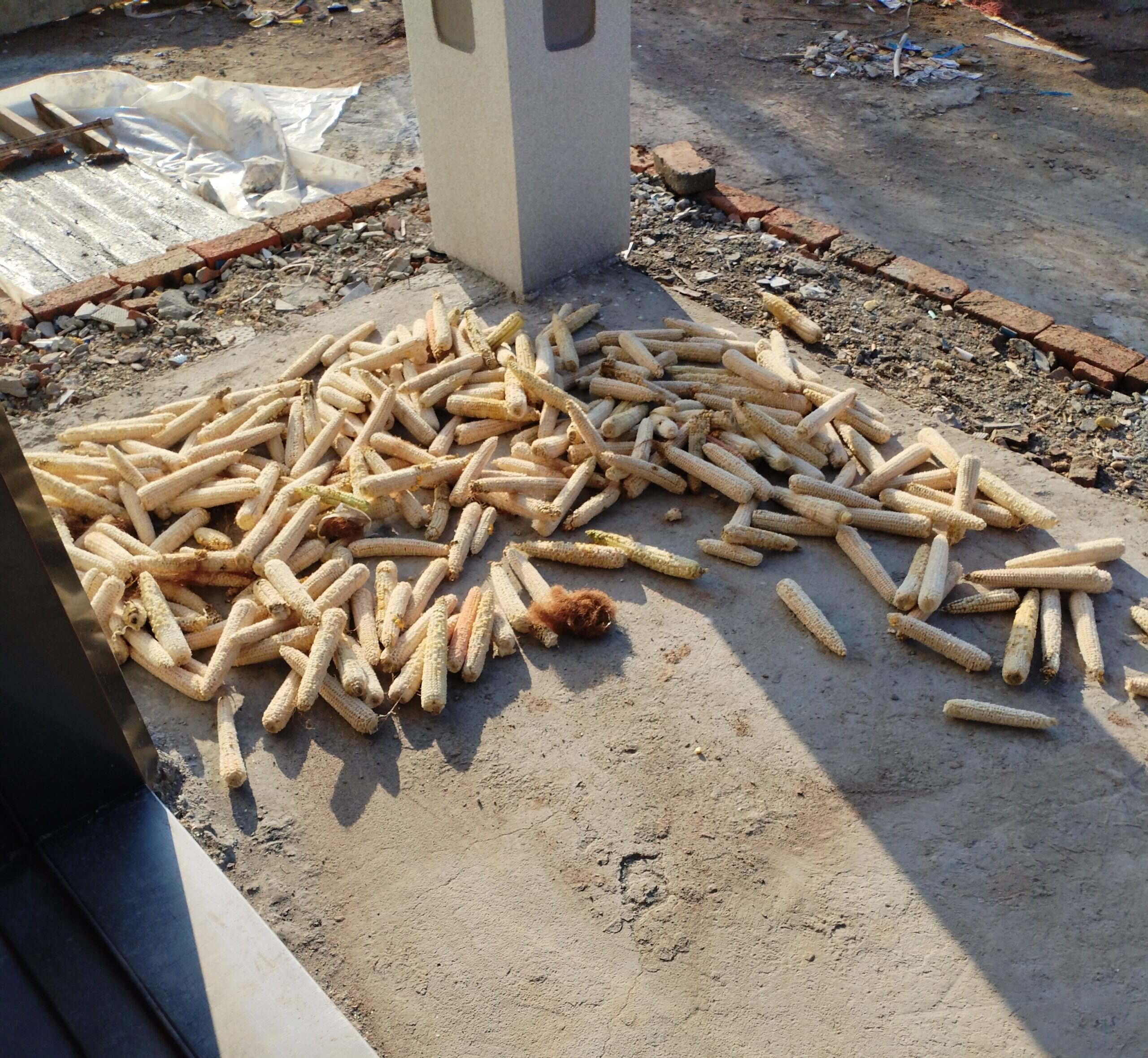 呵呵🙂-校园频道