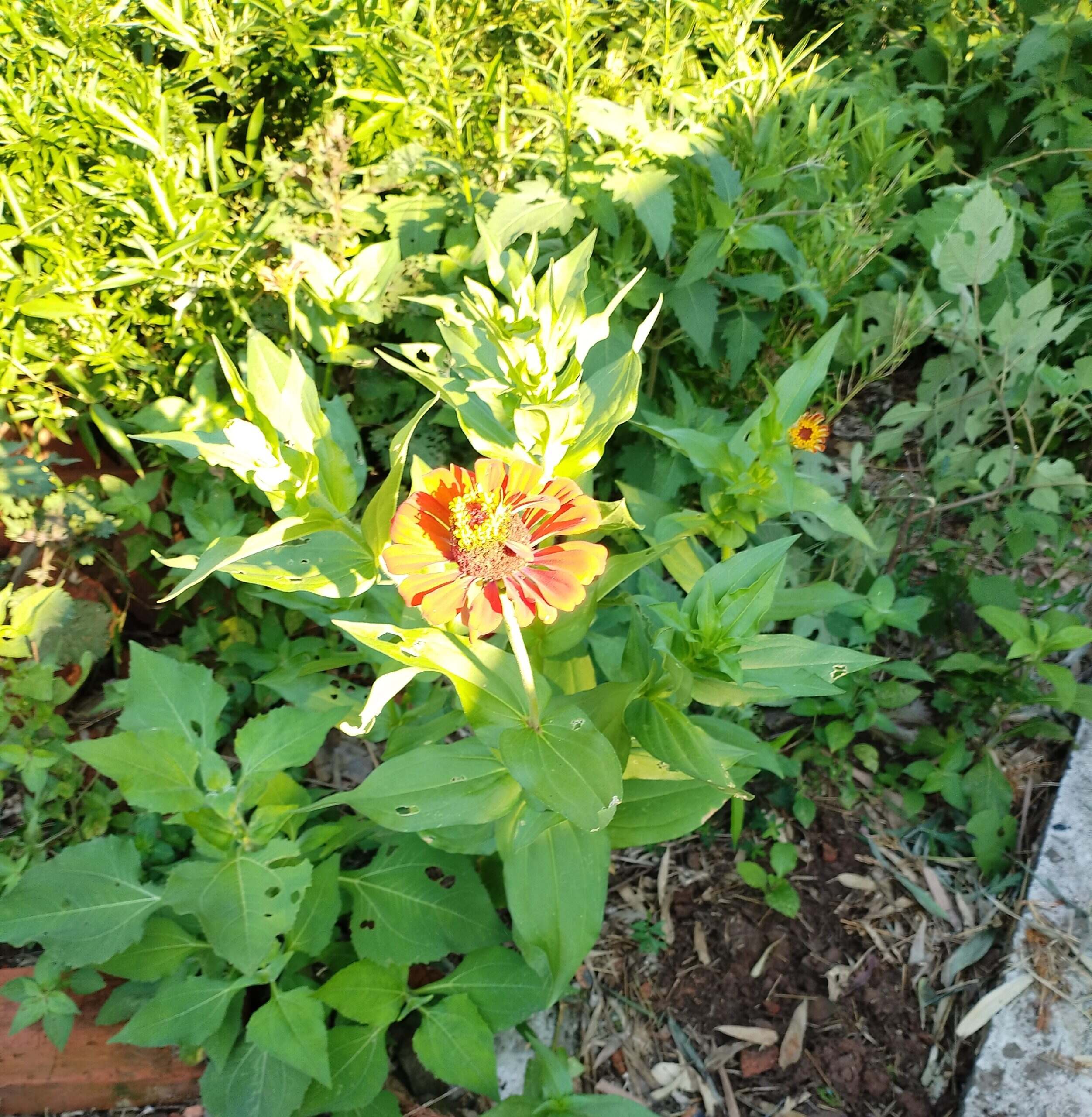 呵呵 我妈拍的-校园频道