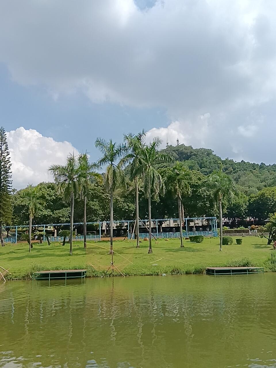 椰子树🌴-校园频道