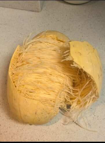 是水果还是蔬菜-校园频道