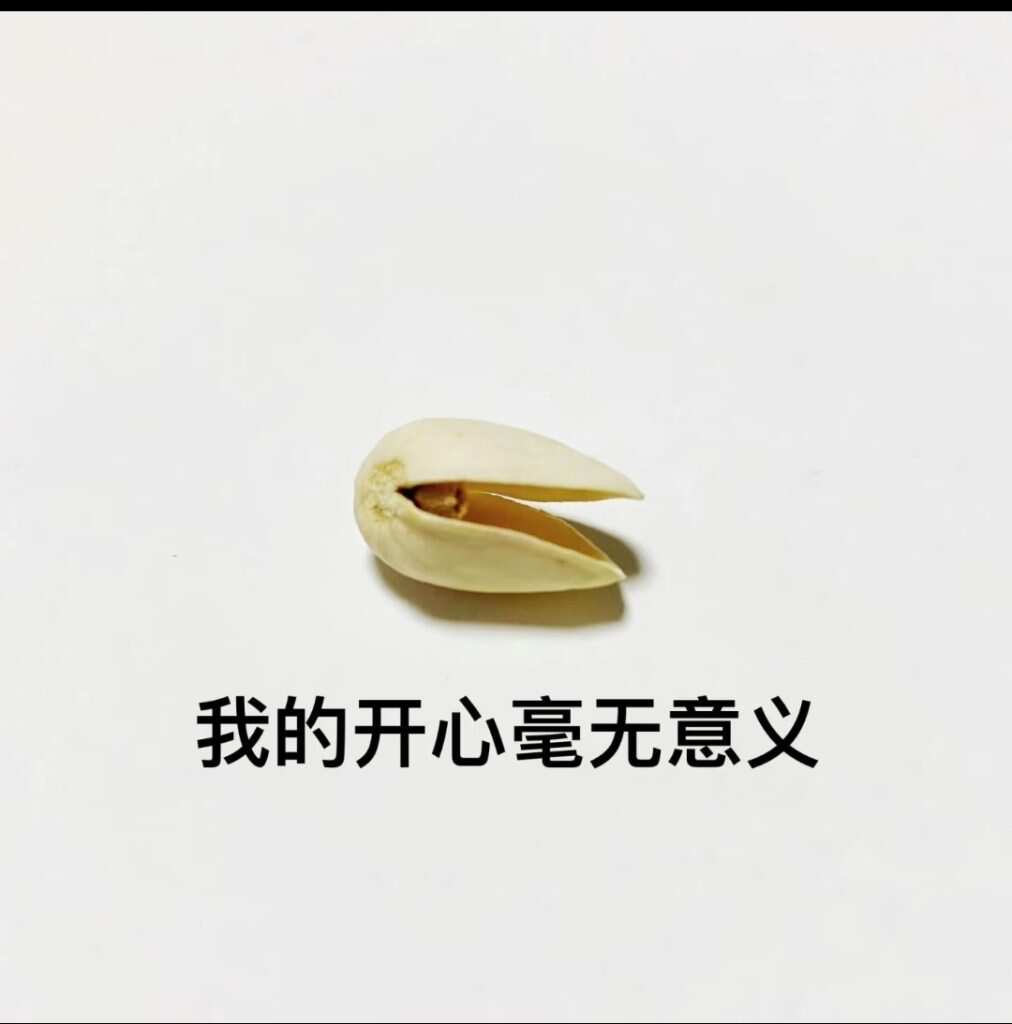 开心果不开心了-暑假时光论坛-校园-校园频道