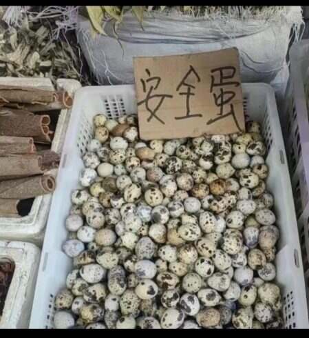 有多安全-校园频道