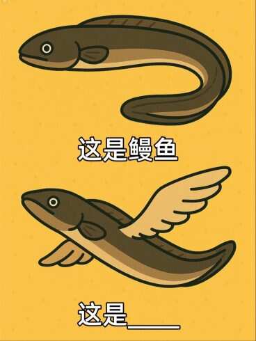 在来玩玩脑筋吧-校园频道