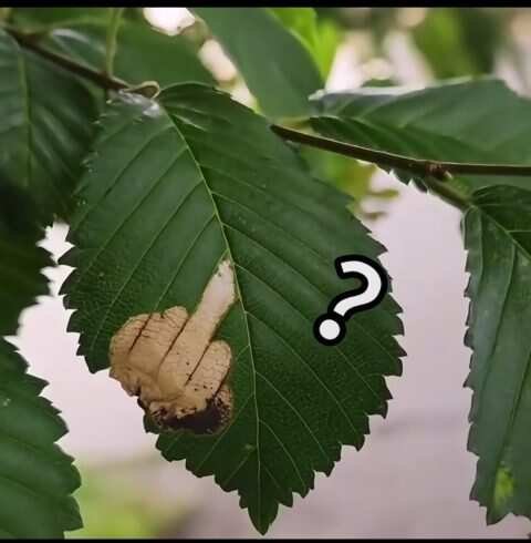 🖕🏾-校园频道