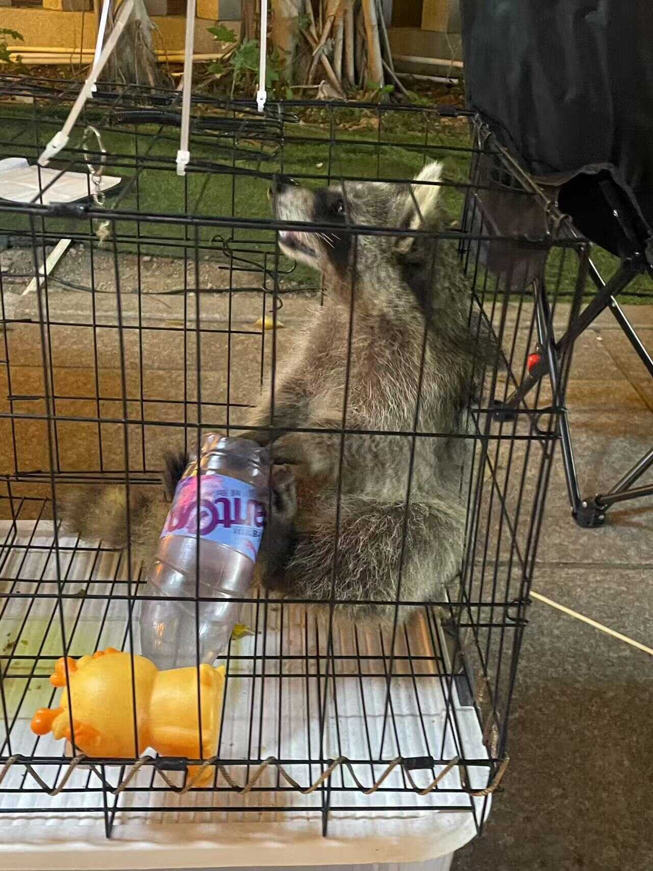 小浣熊ᥬ🌝᭄ᥬ🌝᭄-校园频道