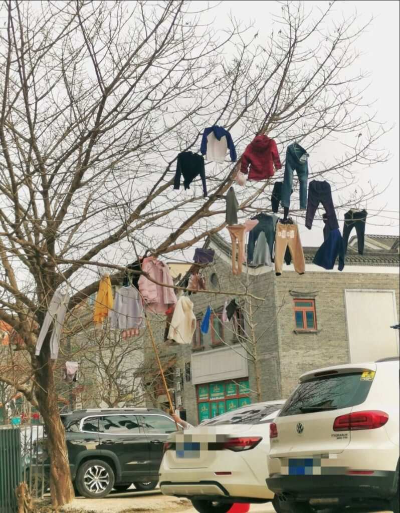 👍-暑假时光论坛-校园-校园频道