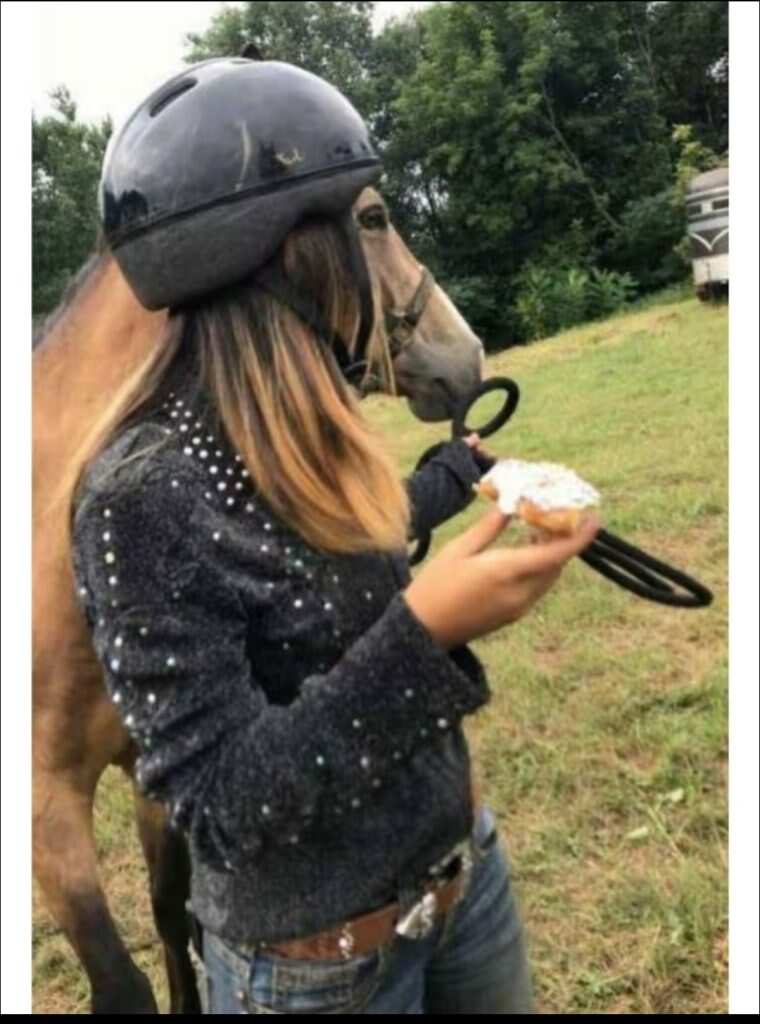 是人脸还是🐴脸-暑假时光论坛-校园-校园频道