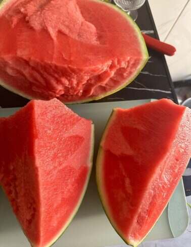 报恩西瓜-校园频道