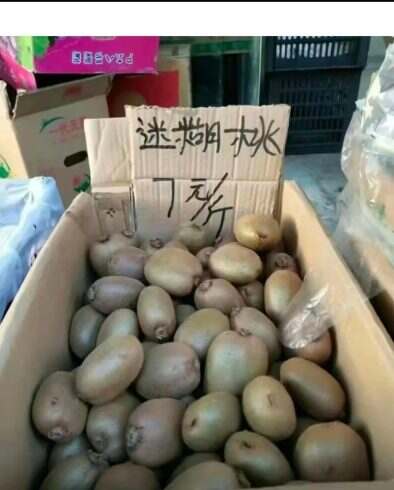 有多迷糊-校园频道