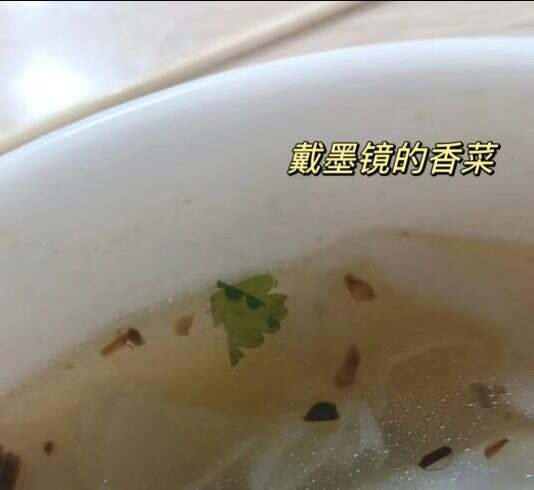 戴墨镜的香菜-校园频道