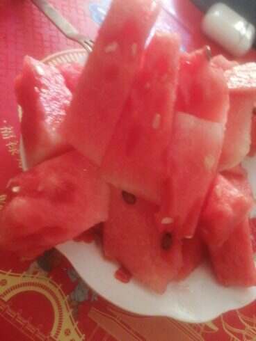 吃西瓜🍉-校园频道