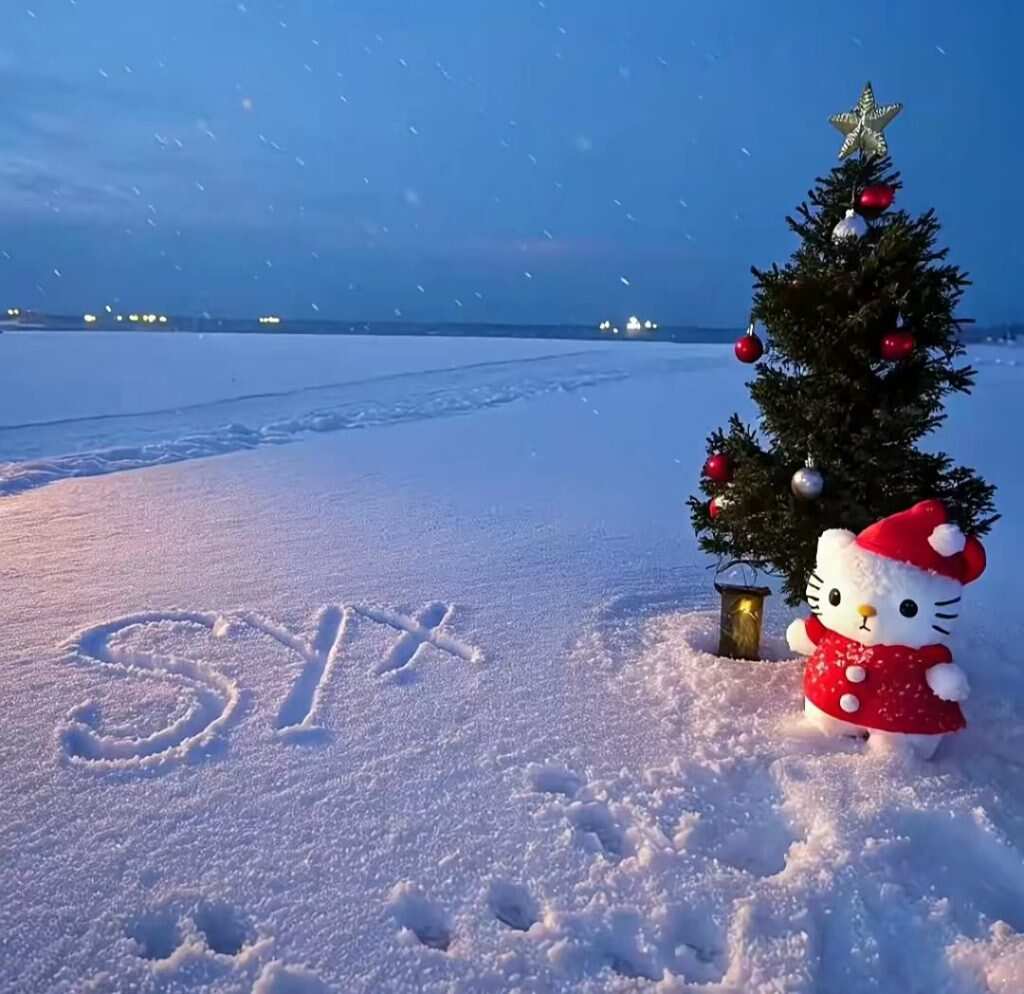 SYX-楼娱论坛-娱乐-校园频道