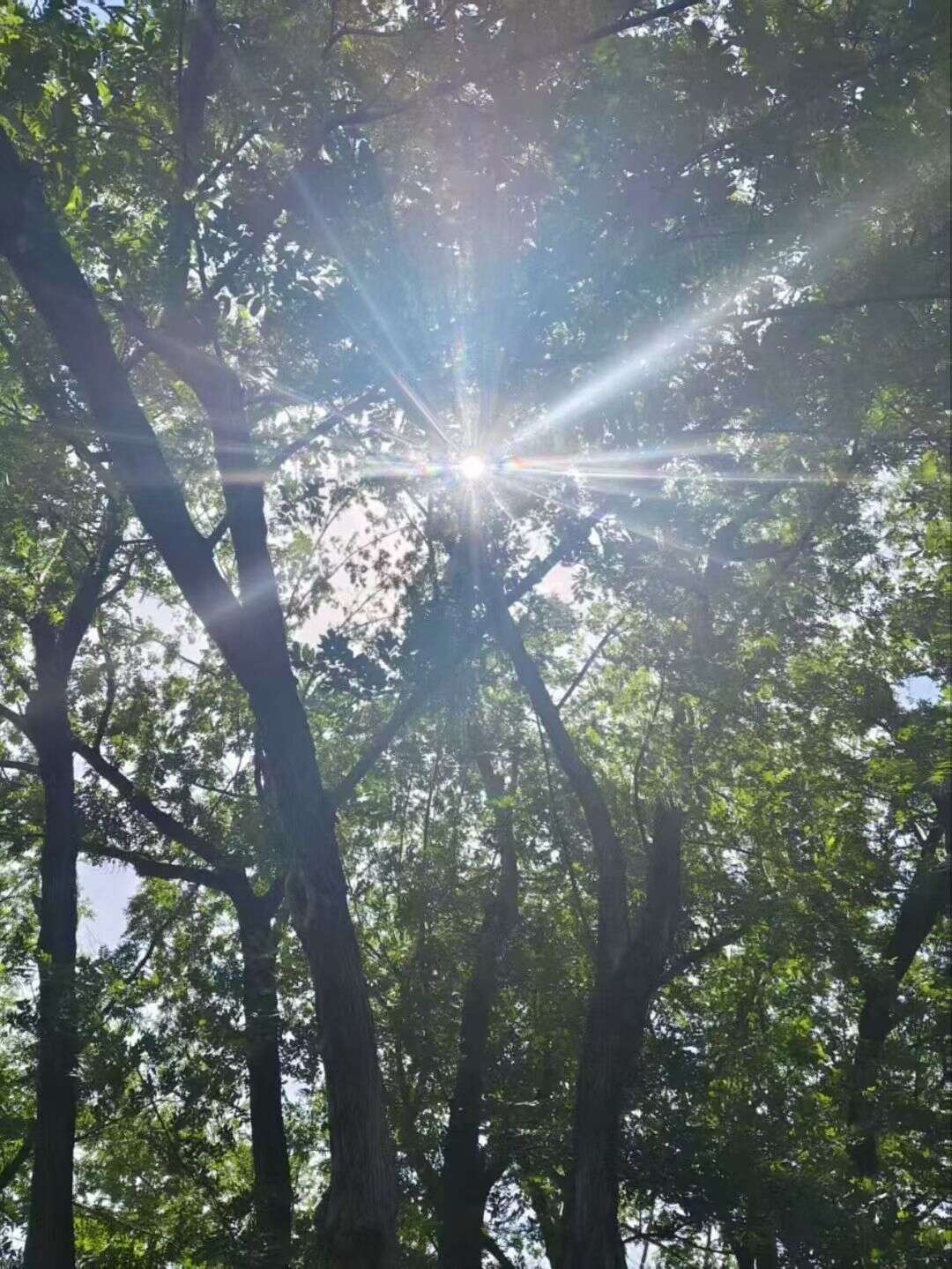 难得起来这么早😂-校园频道