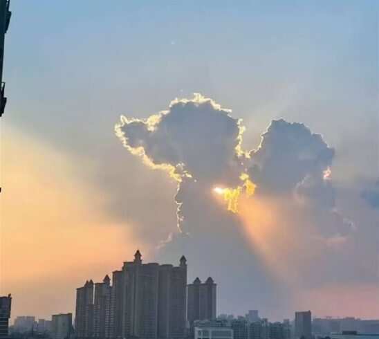 怎么看啥都像人-校园频道