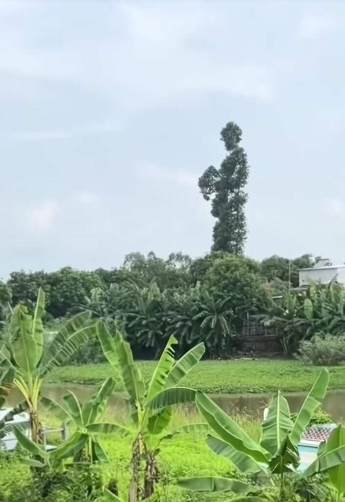 看什么都是人-暑假时光论坛-校园-校园频道