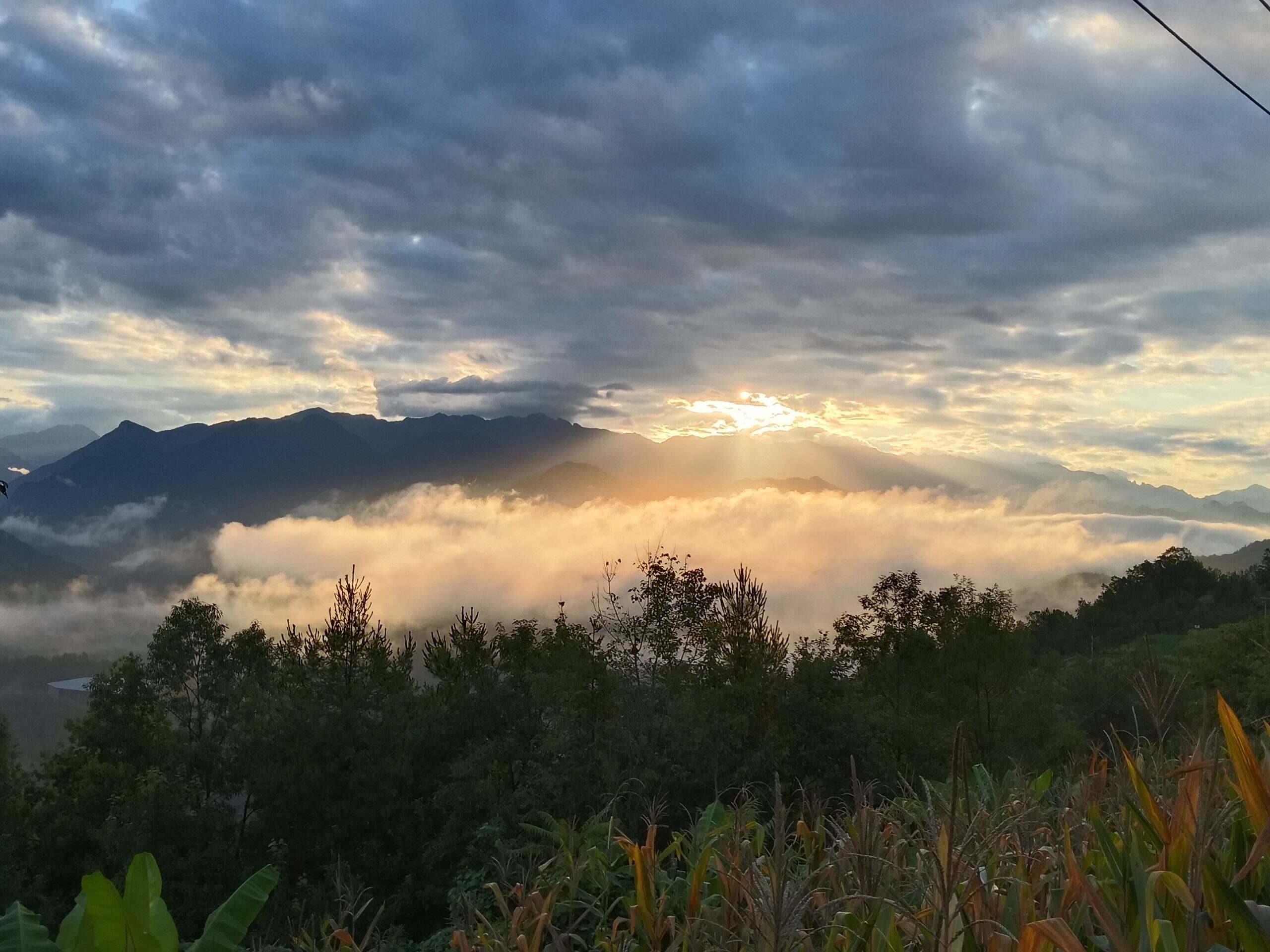 美的勒-校园频道