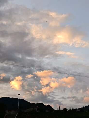 忘了发-校园频道