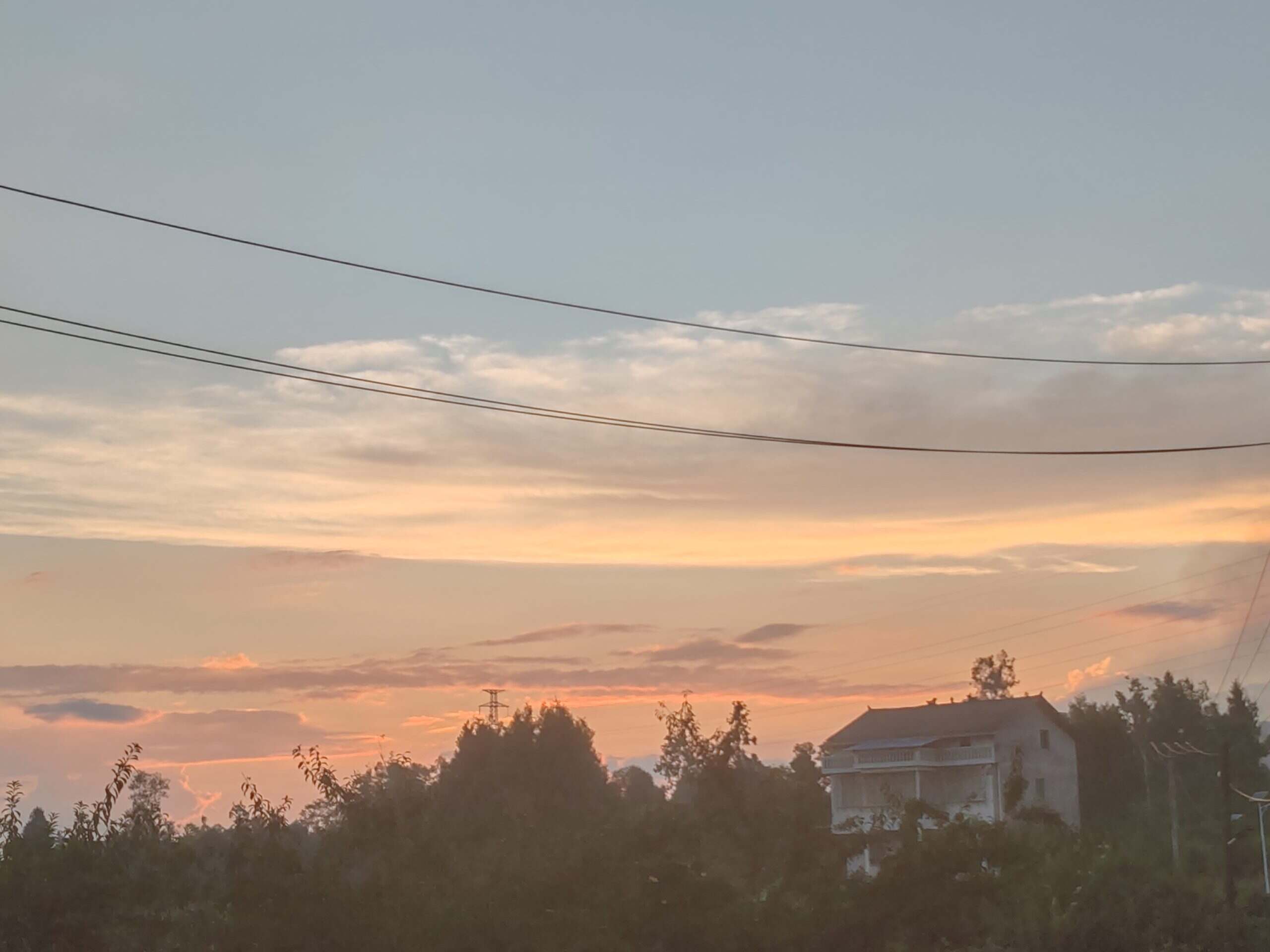 ૮₍˃̶ꇴ˂̶₎ა-校园频道