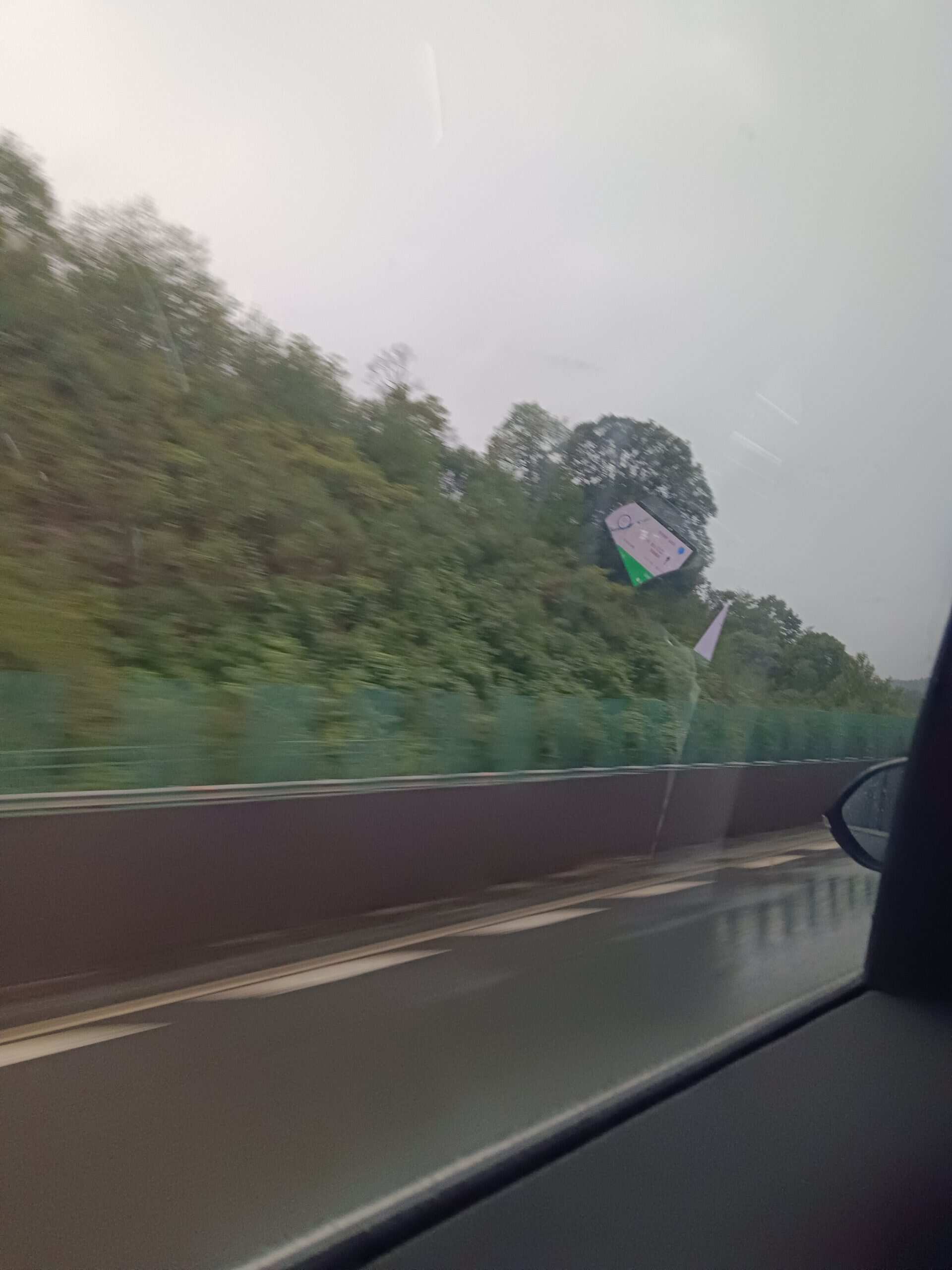 🌲🌲🌲🌲-校园频道