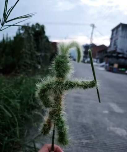 齐天大圣-校园频道