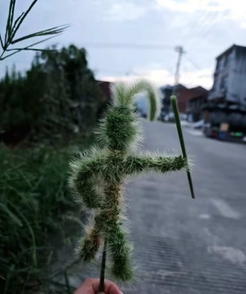 齐天大圣-暑假时光论坛-校园-校园频道