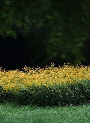 故事的小黄花-校园频道