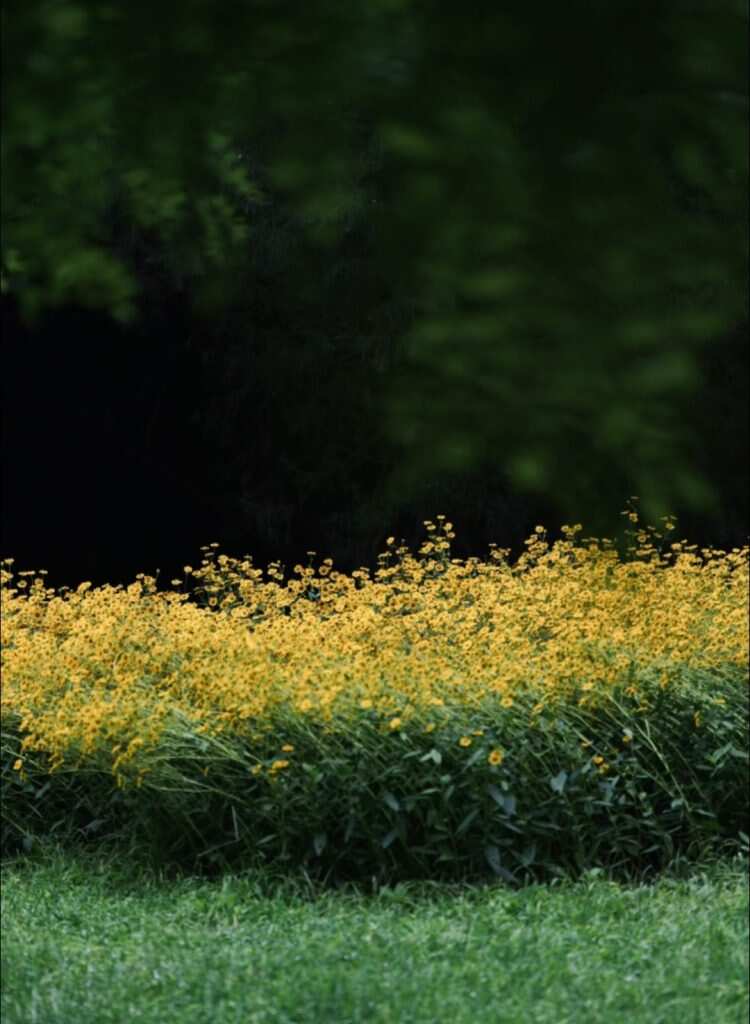 故事的小黄花-暑假时光论坛-校园-校园频道