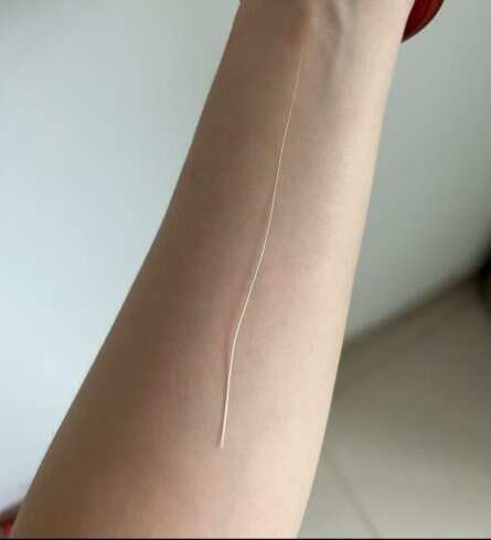 猫咪胡须-校园频道