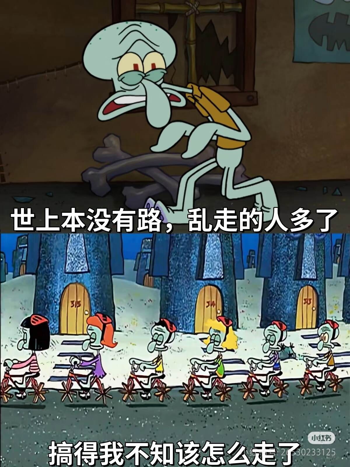 ˋˏᰔᩚˎˊ˗-校园频道