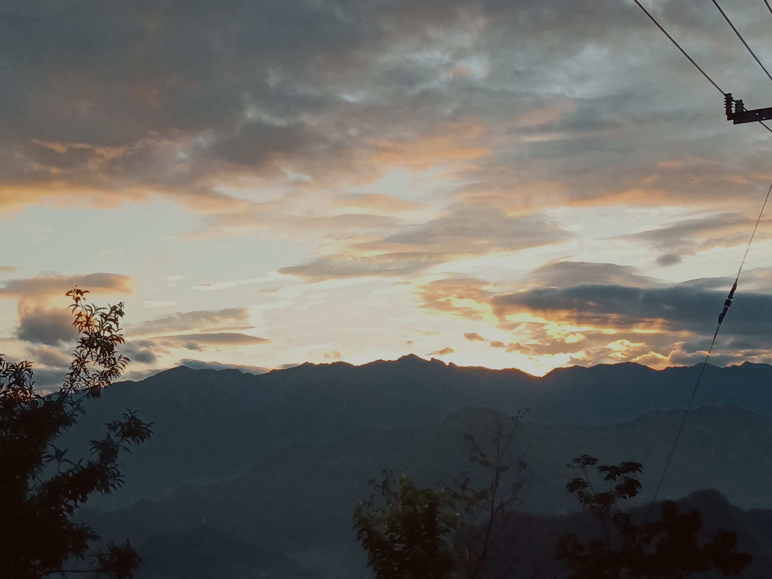 清晨的阳光-校园频道