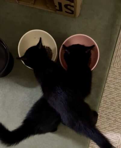 别人的就是最好的-校园频道