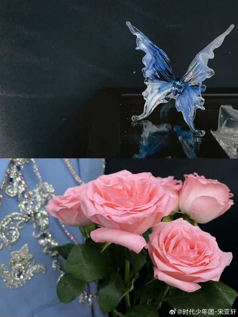 宋亚轩-楼娱论坛-娱乐-校园频道
