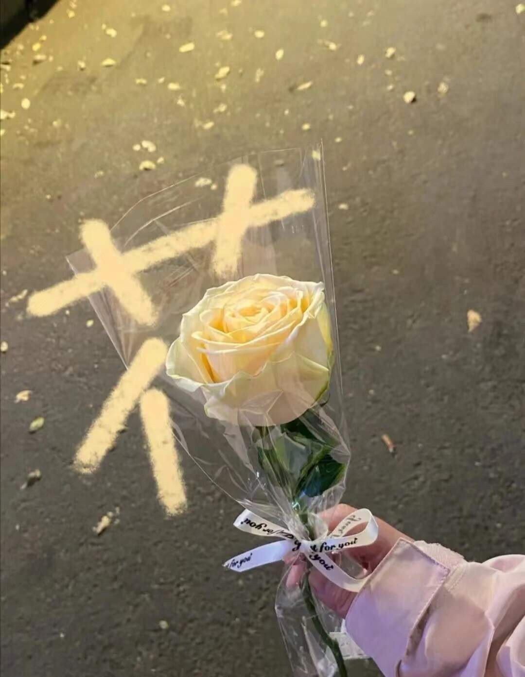 ˃ 𖥦 ˂-校园频道