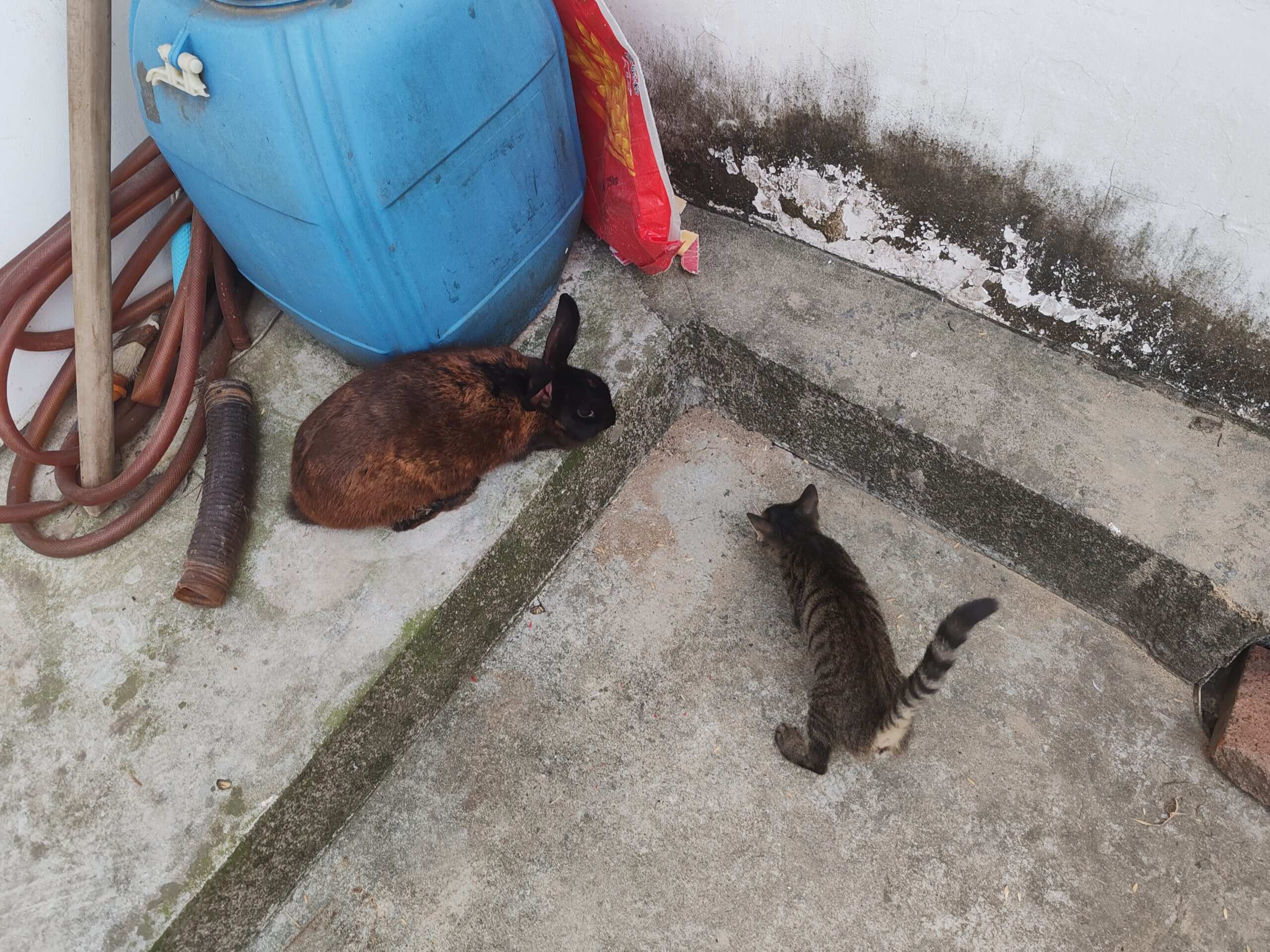 兄弟你好香-校园频道