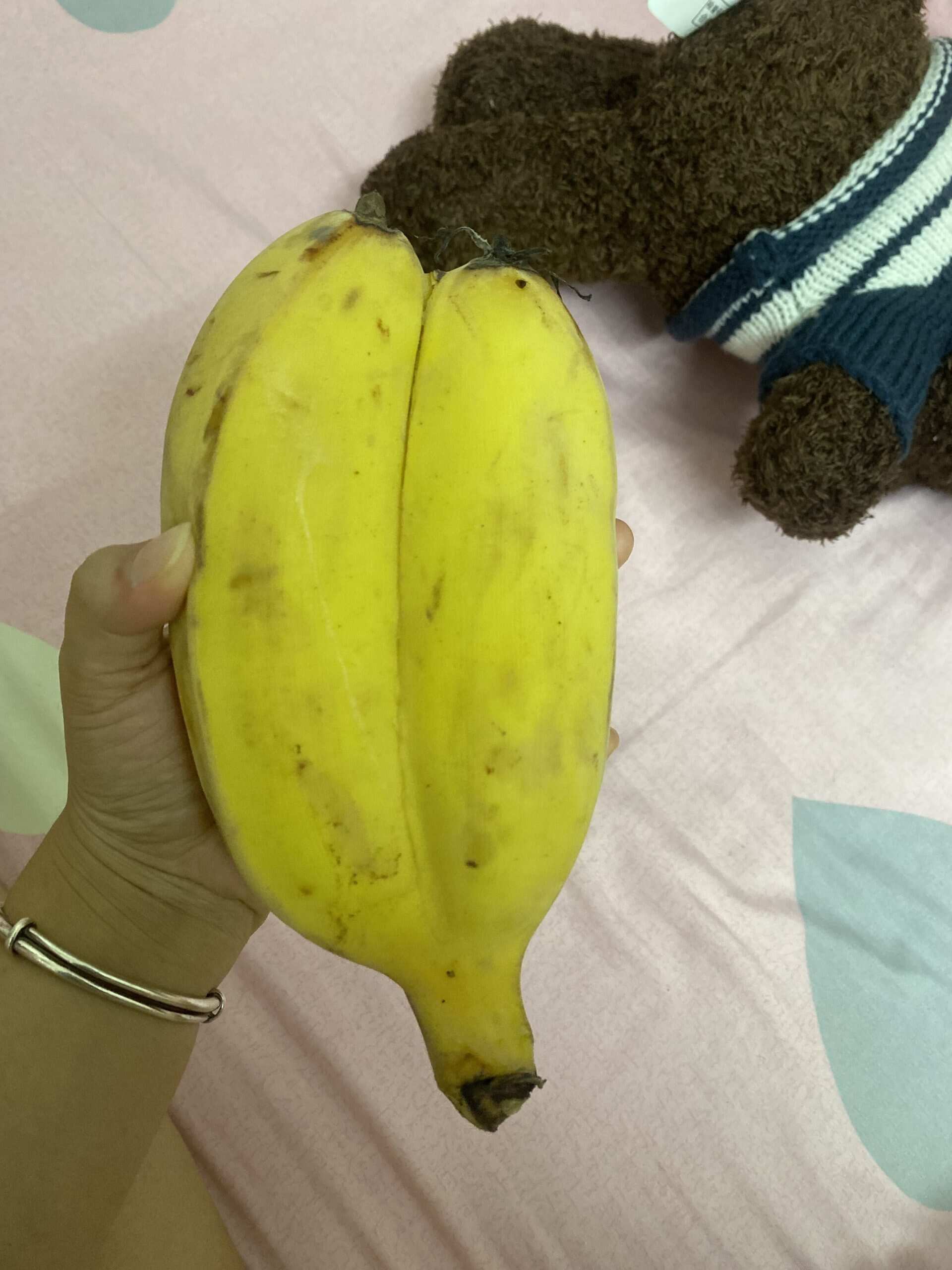 双胞胎-校园频道