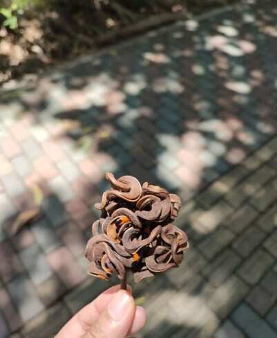 这是？-校园频道