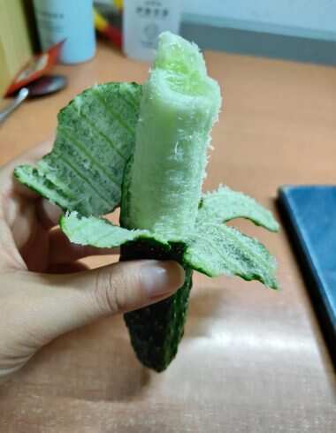 有点焦绿-校园频道