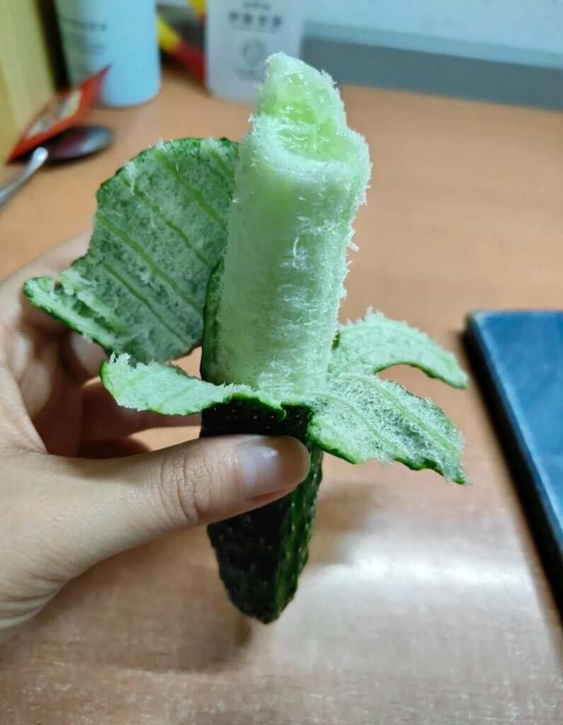有点焦绿-暑假时光论坛-校园-校园频道