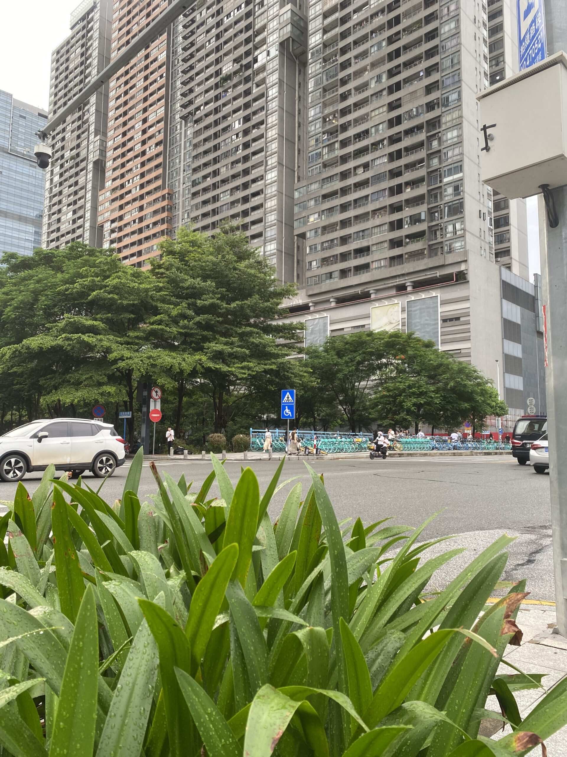 我拍拍拍-校园频道