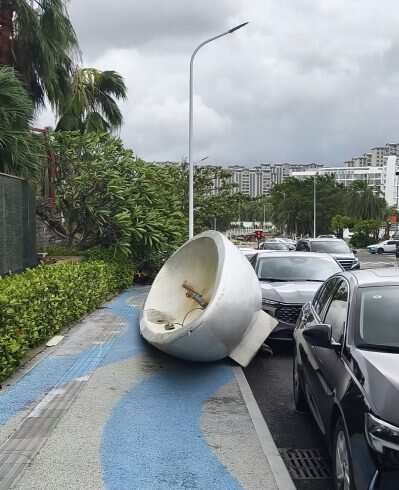 谁家浴缸被台风吹下来了-校园频道