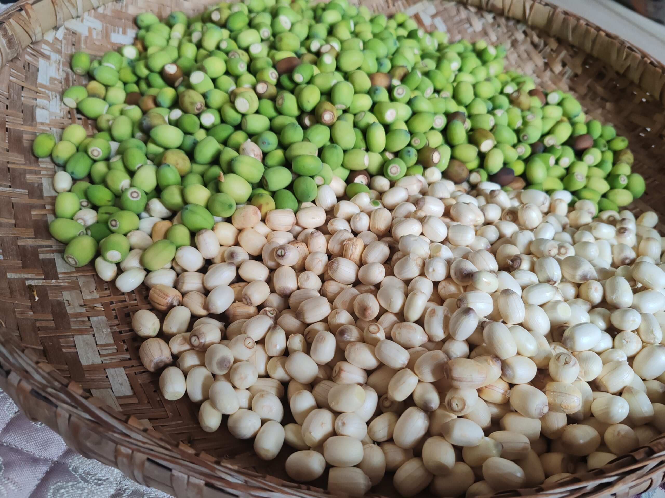 ̖́- ᐝ-校园频道